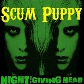 Scum Puppy profile picture