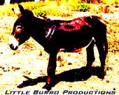 Little Burro Productions profile picture