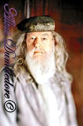 dumbledore