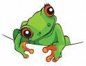 *Froggy Grl* profile picture