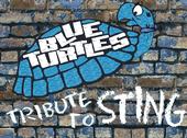 Blue Turtles profile picture