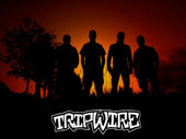 Tripwire profile picture