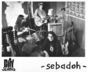 seBADoh profile picture