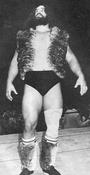 Bruiser Brody profile picture