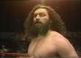 Bruiser Brody profile picture