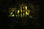 ZULIK profile picture