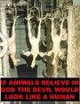 Animal Liberation Front profile picture