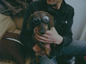 micha profile picture