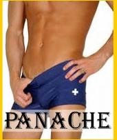 www.PanacheSeattle.com profile picture