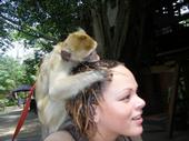 MoNkEy LoVe profile picture