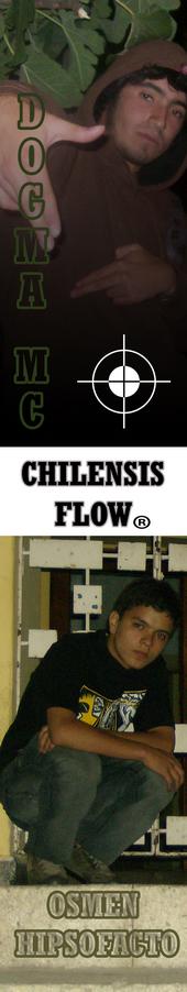 chilensis flow profile picture