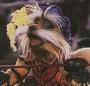 Sir Didymus profile picture