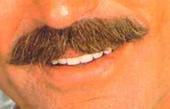 Tom Selleck's Mustache profile picture