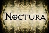 Noctura profile picture