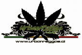 UrbanReggae profile picture