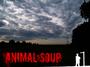 ANIMAL SOUP profile picture