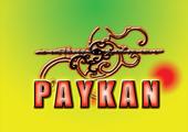 paykan profile picture