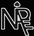 NaipE profile picture