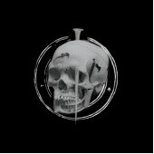 nailed skull records (netlabel) profile picture