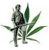 Mass Cann/NORML profile picture