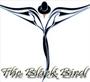 the black bird profile picture