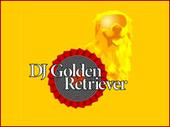 DJ Golden Retriever profile picture