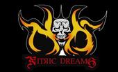 Nitric Dreams profile picture