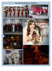 Mariachi Angeles Dorados profile picture