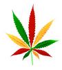 Legalize Marijuana-TN profile picture