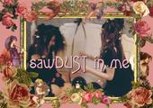 sawDUST in me profile picture