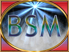 B.S.M. profile picture