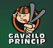 Gavrilo Princip profile picture