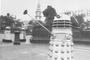 Dalek profile picture