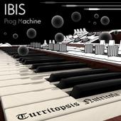 IBIS Prog Machine profile picture