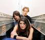 **Sick Puppies Fans** profile picture