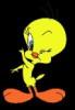 ♥TWEETY BIRD♥ profile picture