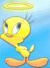 ♥TWEETY BIRD♥ profile picture