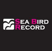 SEA BIRD RECORD profile picture