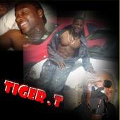 tigerz production profile picture