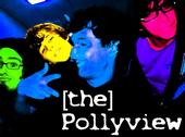 [the] Pollyview profile picture