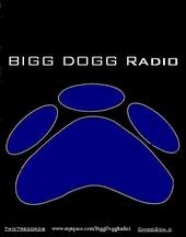 BiggDoggRadio / Two7 Records profile picture