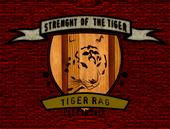 TIGER RAG profile picture