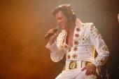 Show Elvis by Thierry Handrickx profile picture