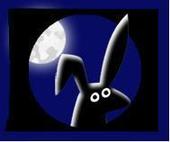 The Night Rabbit Department profile picture