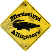 Mississippi Alligators profile picture