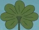 7 Leaf Clover profile picture