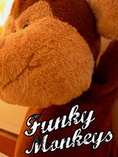 Funky Monkeys in vacanza! profile picture