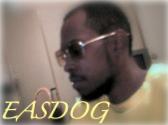 EASDOG profile picture