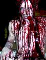 Hundred Acres Manor profile picture