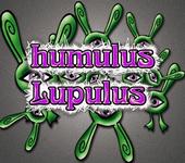 Humulus Lupulus profile picture